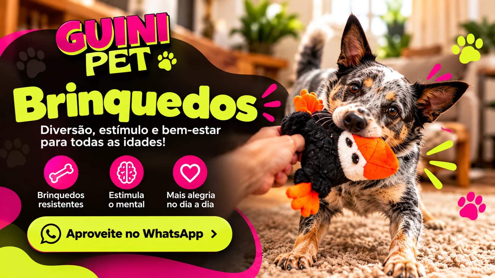 Promoção de brinquedos para cães e gatos da GuiniPet
